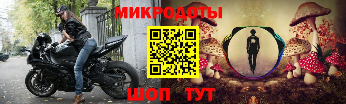 Галлюциногенные грибы Cubensis Чусовой
