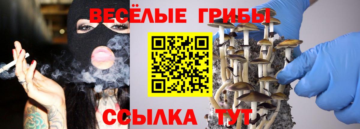 Псилоцибиновые грибы мицелий  Вход с VPN  закладки  Псилоцибиновые грибы Cubensis  Чусовой 